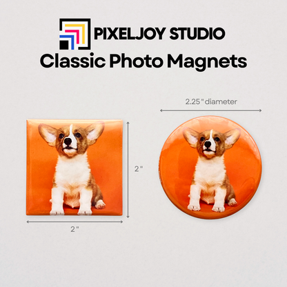 Custom Magnet Sample