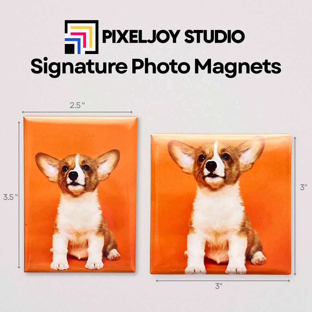 Custom Magnet Sample