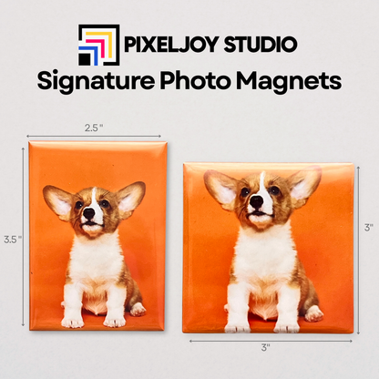 Custom Magnet Sample